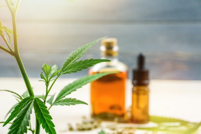 CBD-Öl kaufen – der große Ratgeber