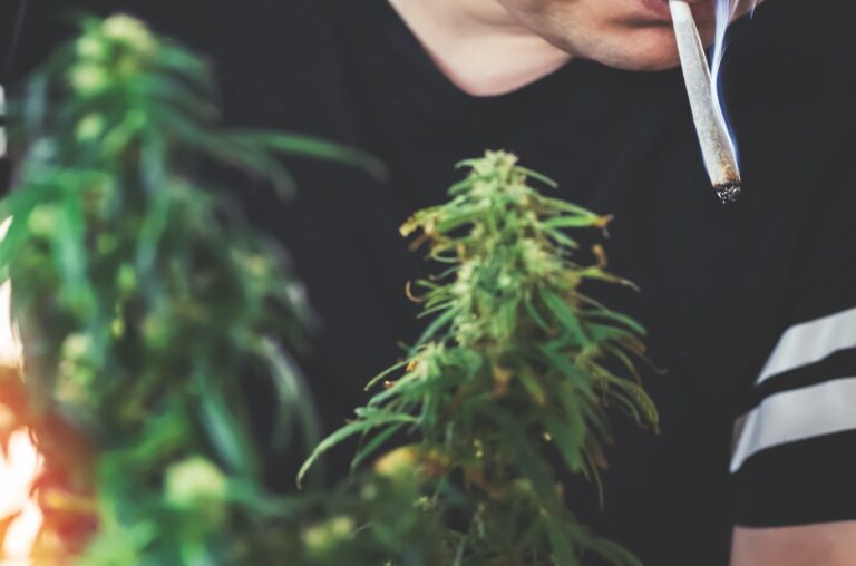 CBD rauchen – ist das legal?